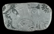 Silver-Karshapana-Punch-Marked-Coin-of-Magadha-Janapada.