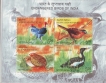SATYAGRAHA-THE-STIRRINGS&--ENDANGERED-BIRDS-OF-INDIA