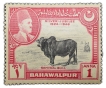 Postal-Stamp-of-Bahawalpur-State----Silver-Jubliee-(AD-1924-1949)---Sahiwal-Bull