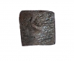 Raja-Ishwar-Mitra-City-State-Erikachha-Eastern-Malwa-200-BC