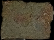 Vidarbha-Region-Rare-Copper-Coin-of-Pre-Satavahanas.
